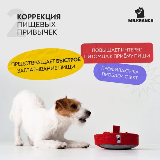 Mr. Kranch Нюхательная игрушка Пицца, 18*18 см Mr. Kranch Нюхательная игрушка Пицца, 18*18 см