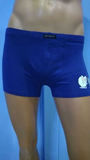 Шорты мужские ATLANTIC MH-1651