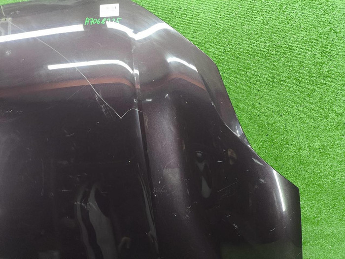 Капот Zeekr 001 (2021-н.в.)