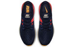 Кроссовки Nike Zoom Structure 22