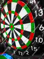 Надувной герметичный дартс «Профи», диаметр 5,5 м, 5,5×2×4 м