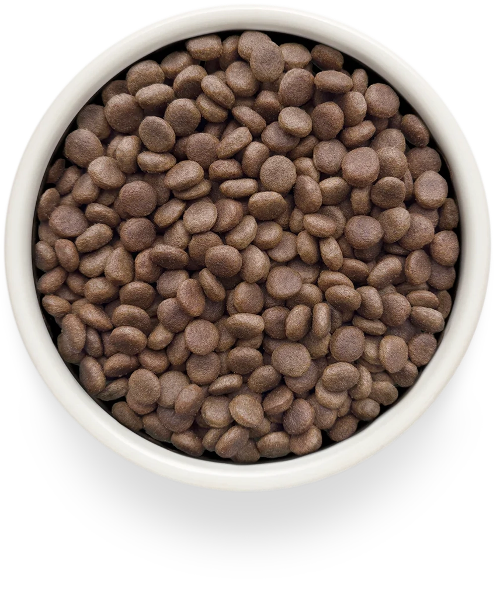 Сухой корм GRANDORF VETERINARY DIET Dog DERMATOSIS Полнорационный диетический корм для собак с заболеваниями кожи 3кг