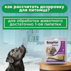 Капли для собак от 20 до 30 кг от блох, клещей, вшей, власоедов, а так же для лечения ушной чесотки и предотвращения нападения комаров БлохНэт Форте (Астрафарм), 1пипетка