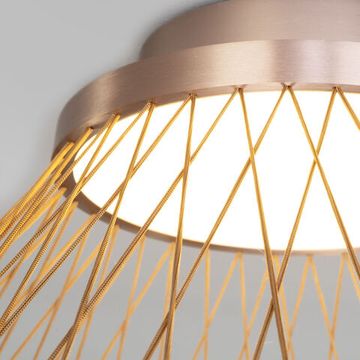 Потолочный светодиодный светильник 40W 3000K 40019/1 LED коричневый 069291 Cesta Eurosvet