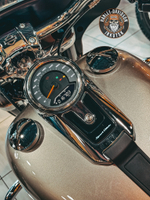 Мотоцикл Harley-Davidson® Sport Glide™