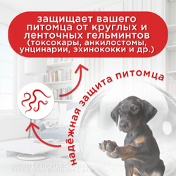 Суспензия от гельминтов для собак, сладкий вкус Чистотел Глистогон Плюс, 7мл. Пирантел/Празиквантел