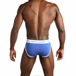 Мужские трусы брифы синие Sergio Dallini SG2940-2