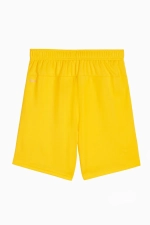 Шорты Puma teamGOAL Junior - желтый