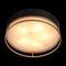 Потолочный светильник ST Luce Chodo SL1127.432.05