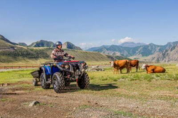 Квадроцикл СТЕЛС ATV 650 Guepard Trophy EPS (ПСМ)