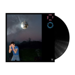 Harry Styles / Kiss All The Time. Disco, Occasionally. (LP)