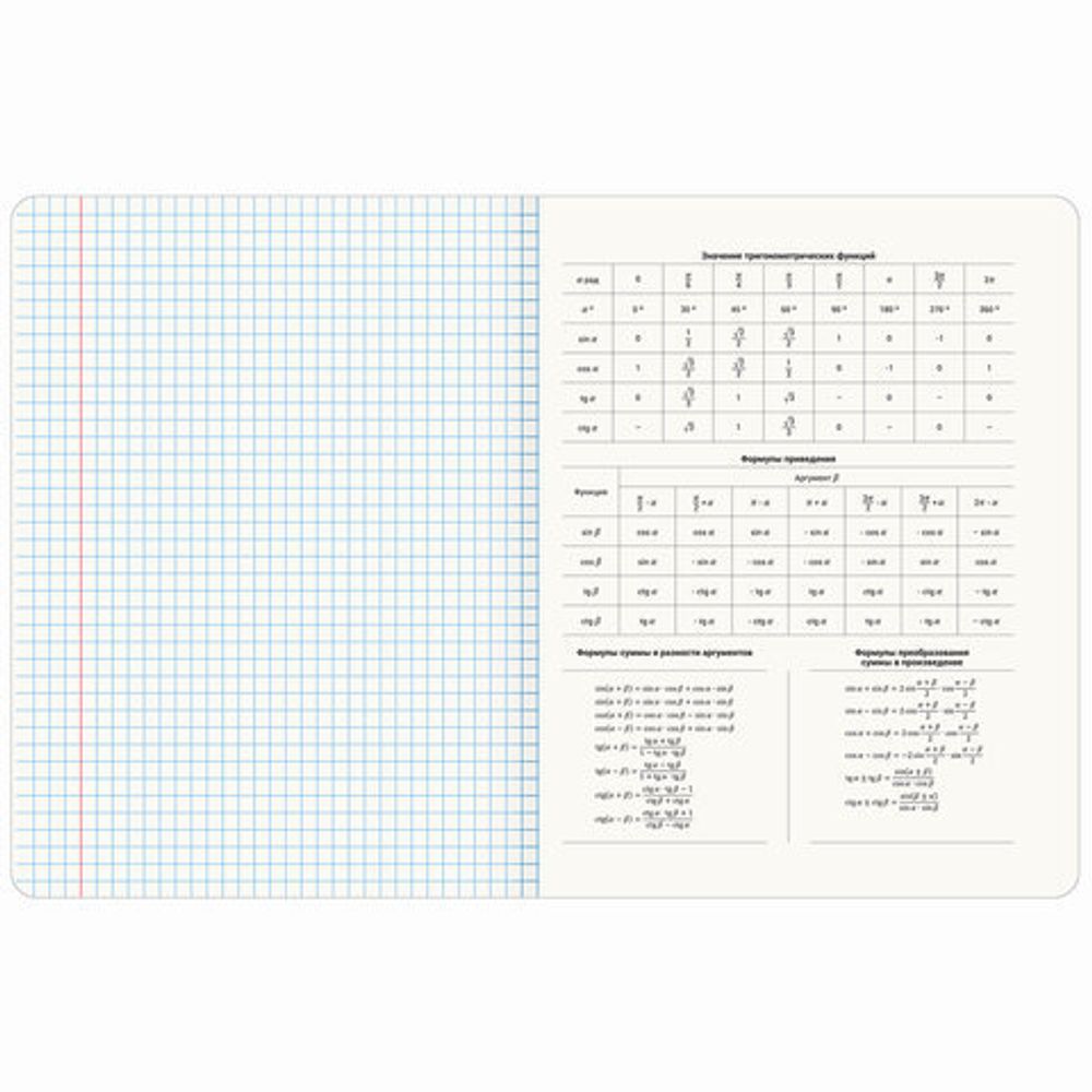 Тетрадь предметная МЕМЫ 48 л., TWIN-лак, АЛГЕБРА, клетка, подсказ, BRAUBERG, 405096