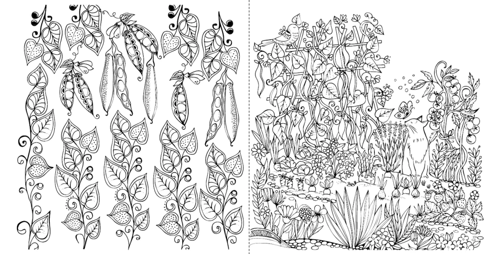 Моя летняя прогулка: Раскраска
