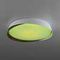 Светильник потолочный Citilux BONNY CL754350G
