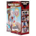 Наст.игра, коробка YC5190A