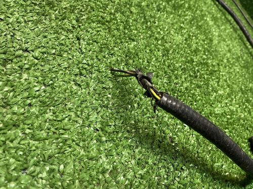 Проводка переднего бампера Geely Tugella (19-24)