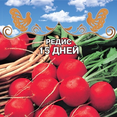 Редис 15 Дней