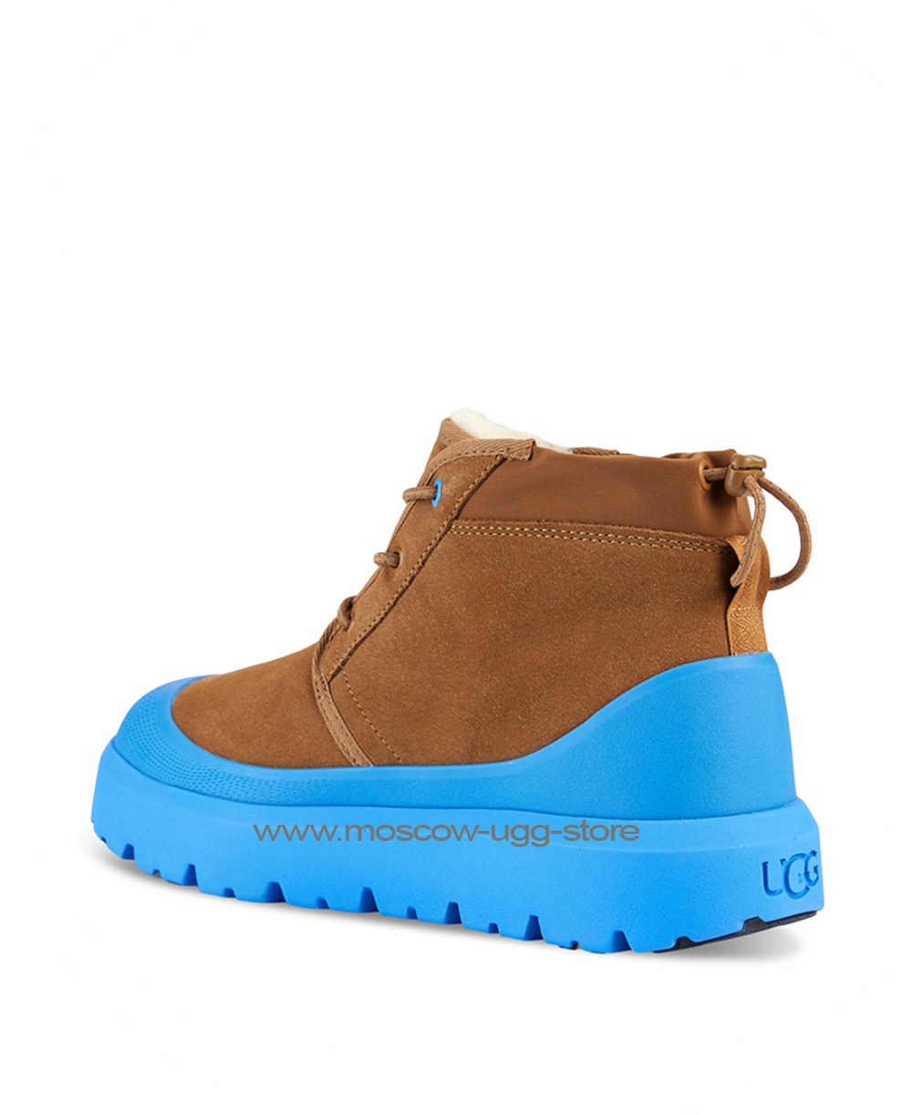 NEUMEL WEATHER HYBRID Chestnut Navy
