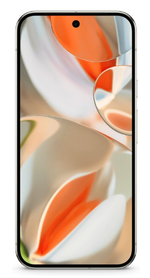 Google Pixel 9 Pro XL 16/256Gb (Роrсelаin)