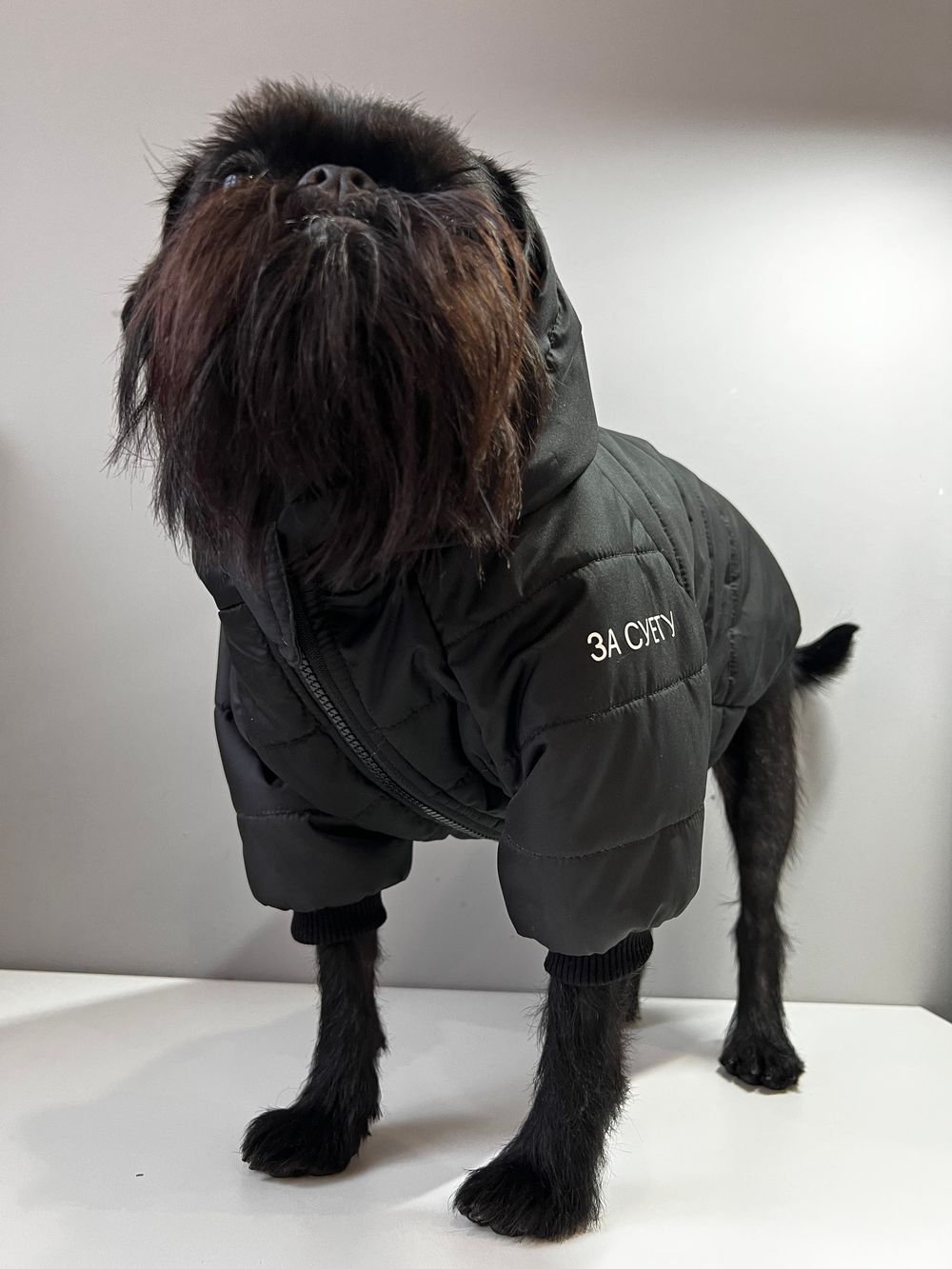 Куртка для собак с капюшоном, 32 см. (одежда для собак мелких, средних и крупных пород)