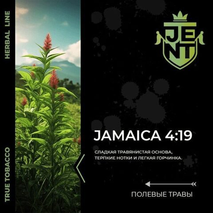 Jent Herbal Line - Jamaica 4:19 (100г)