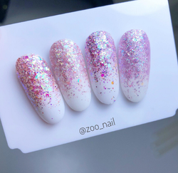 Zoo Nail Шестигранники микс "Крылья феи" 2 г
