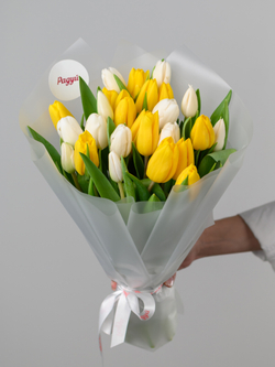 Тюльпаны микс