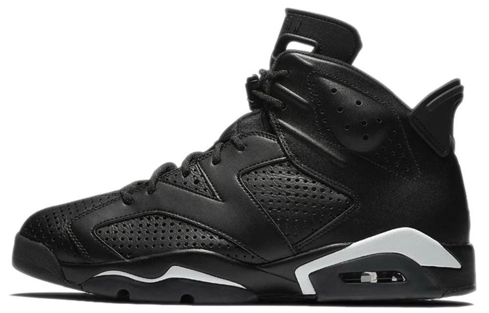 Кроссовки Jordan Air Jordan 6 Retro "Black Cat"