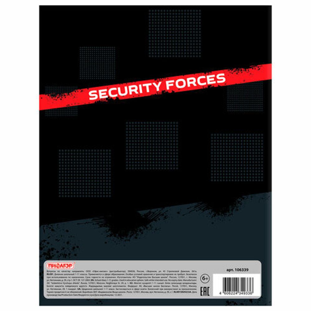 Дневник 1-11 класс 40 л., на скобе, ПИФАГОР, обложка картон, "Скорость", 106339