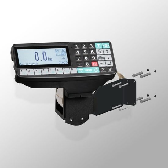 Весы стержневые МАССА-К 4D-B-12/1-1000-RP с печатью этикеток