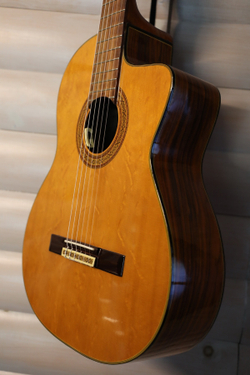 Гитара электроакустическая с нейлоновыми струнами  Jasmine TAKAMINE EC-28C