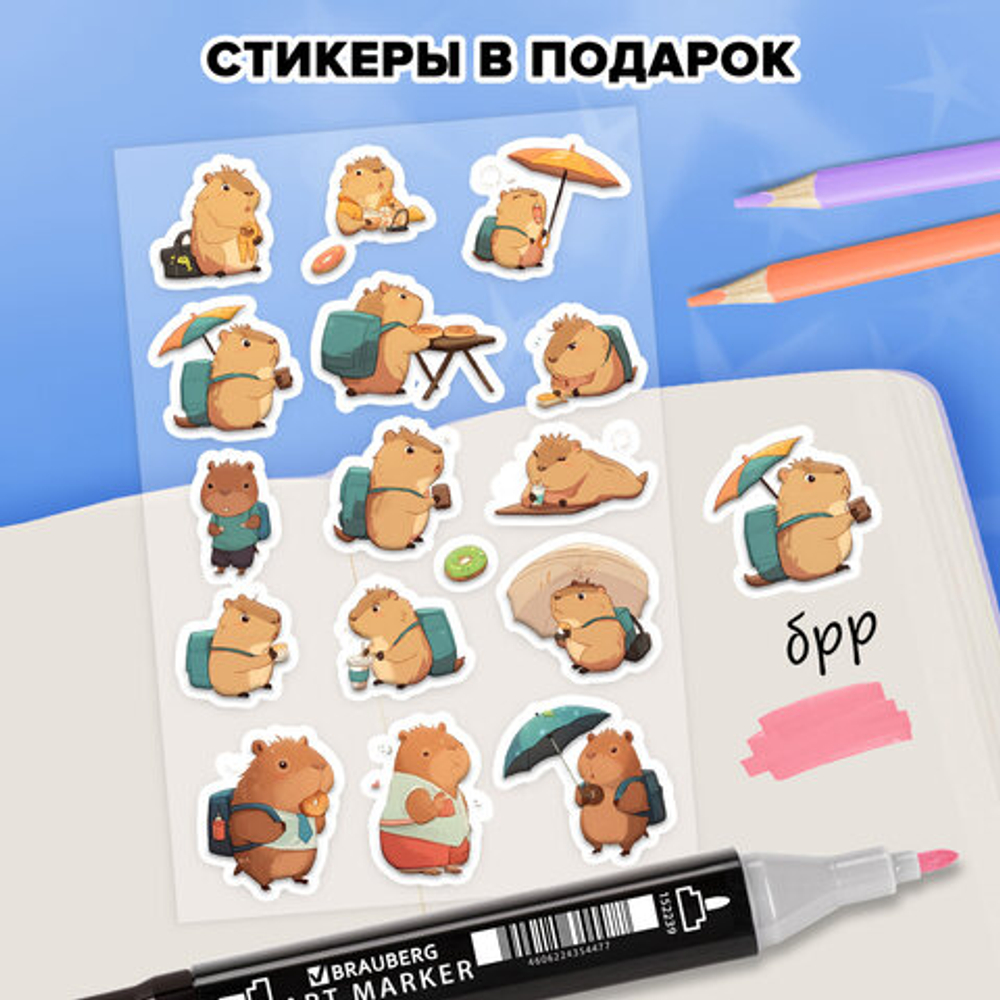 Скетчбук "Капибары"