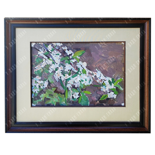 Динес Ю. С. Цветущая вишня. Солнечногорск. 1956