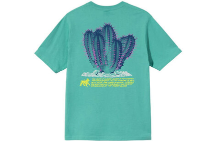 Футболки Stussy Desert Bloom Tee T, 1904686