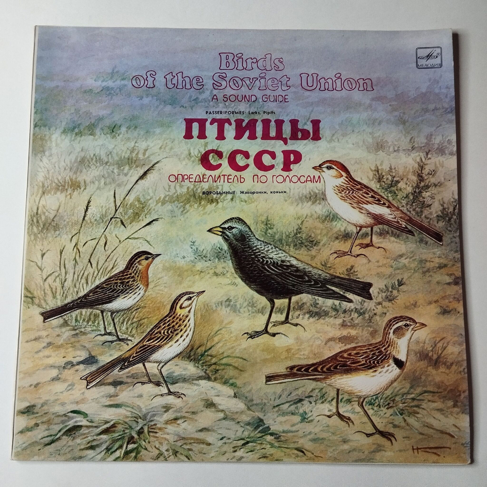 Винтажная виниловая пластинка LP Птицы СССР Определитель По Голосам Воробьиные: Жаворонки, Коньки (СССР 1986)