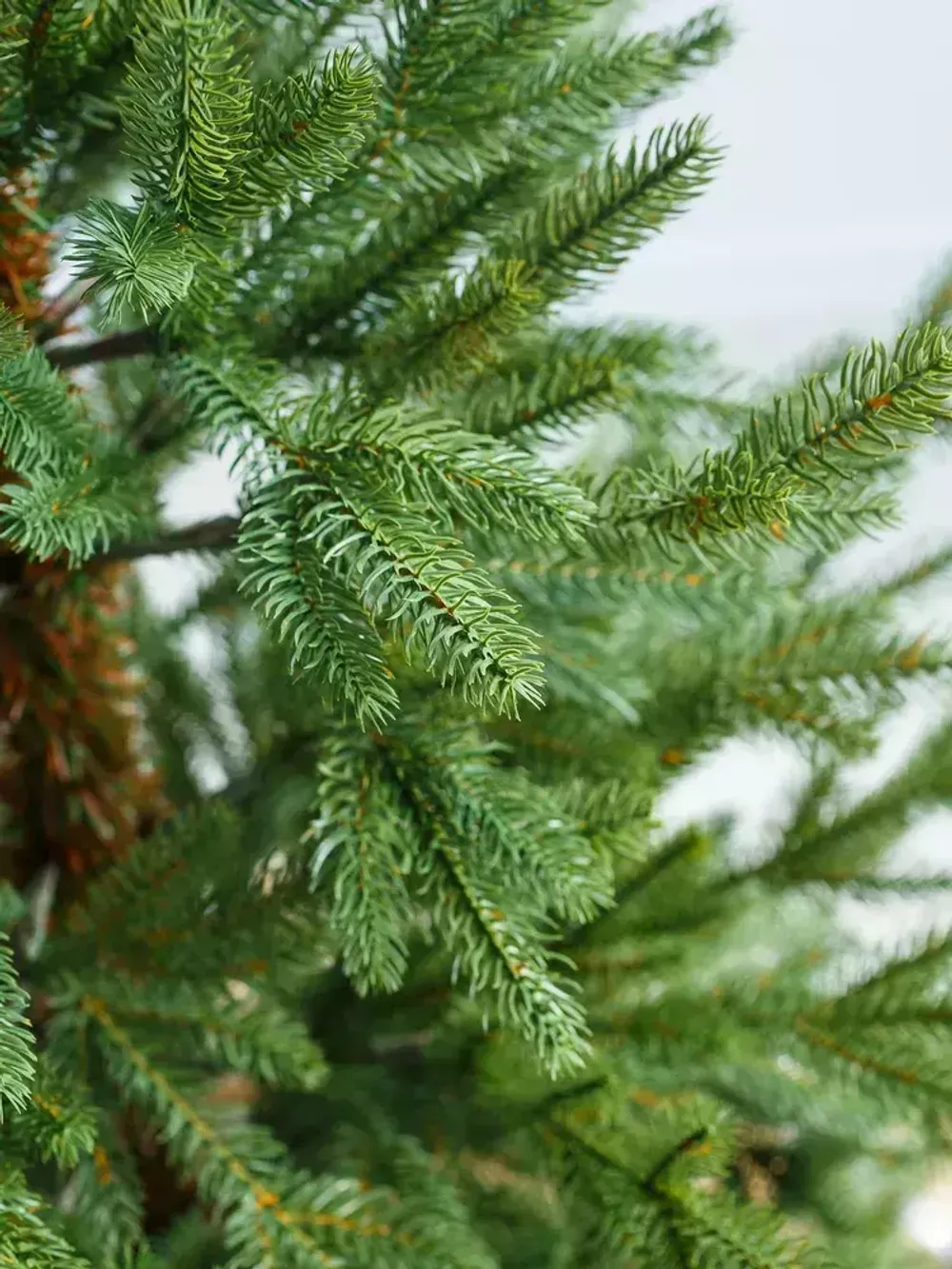 Елка искусственная «НОРДМАН» (Литая) 180 см / 1.8 м