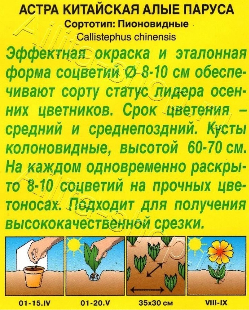 Цв. Астра Алые паруса 0,2г (Аэлита)