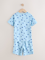 Пижама для мальчика Next AJ4-845, Синий, Молочный, Голубой