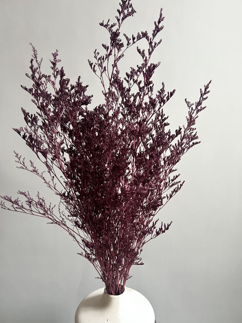 Кермек винный