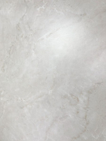 DELROY DOVE CZ-RT02-B