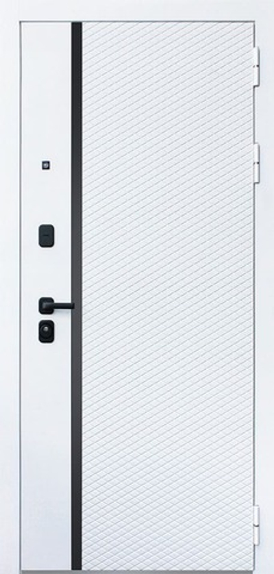 Входная дверь 1060