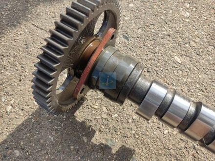 Вал распределительный 842.1006015