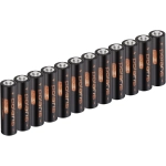 Батарейка Polaris PB Premium AA 12 шт (LR6/ER14505/FR6/R6P)