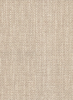 Холст 21 (светло-серая)