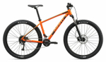 Горный велосипед Giant Talon 29 2 (2020)