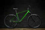 Горный велосипед BOOSTER NAIK 29 green