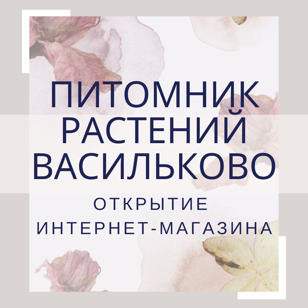 Добро пожаловать в наш интернет-магазин!