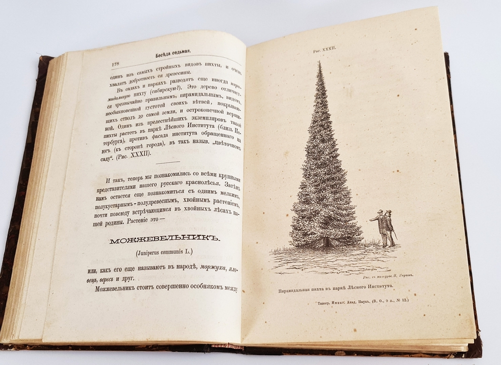 "Беседы о русском лесе". Д.Н.Кайгородов. 1885г.