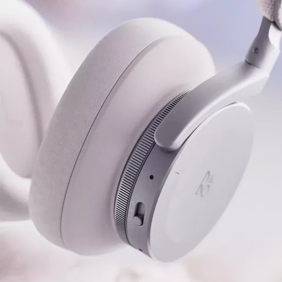 Беспроводные наушники Bang & Olufsen Beoplay H95 Nordic Ice