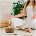 Увлажнитель воздуха Prixton Hidra